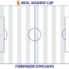 0 - Campo DISEGNO A VOSTRA SCELTA - immagine 13