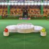 00 - Podio premiazione SUBBUTEO - Tipo 2 - immagine 3