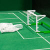 Porte Subbuteo