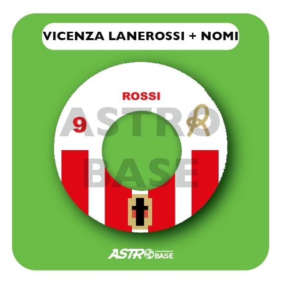 Vicenza Lanerossi  + NOMI