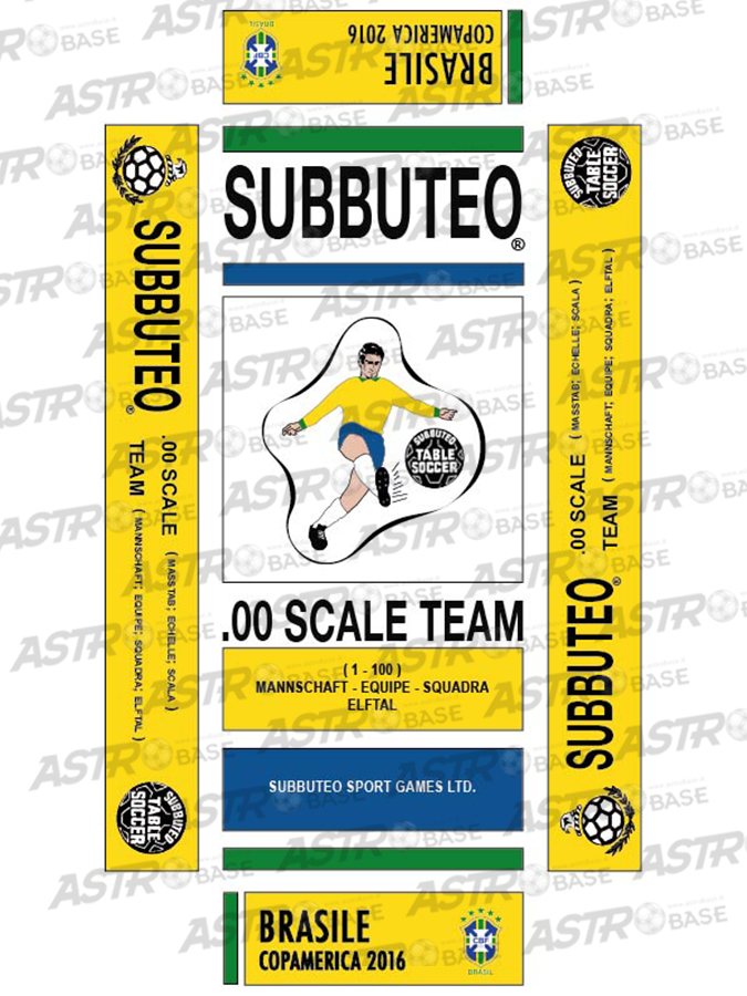 Brasile Copamerica 2016