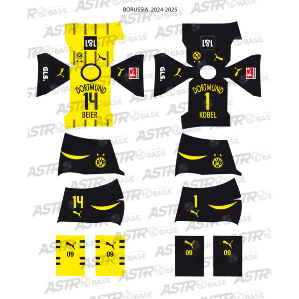 Borussia Dortmund 2024 / 2025