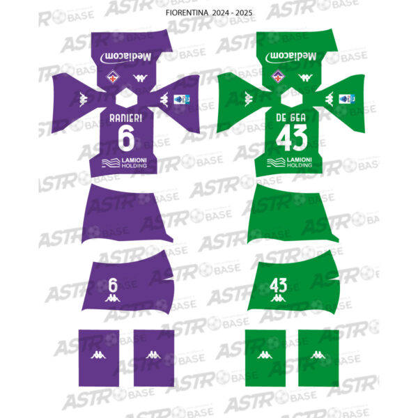 Fiorentina 2024 / 2025