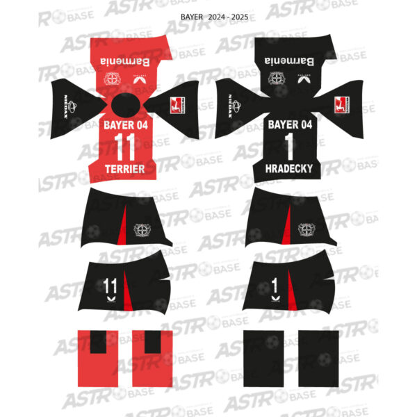 Bayer Leverkusen 2024 / 2025