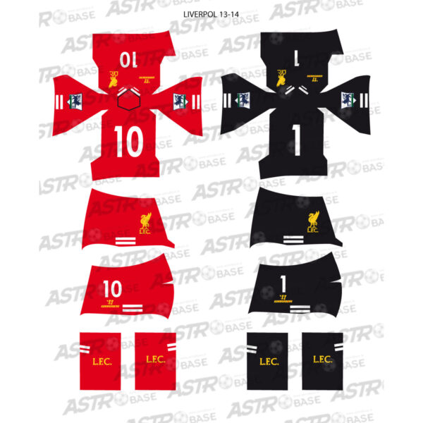 Liverpool 2013 / 2014