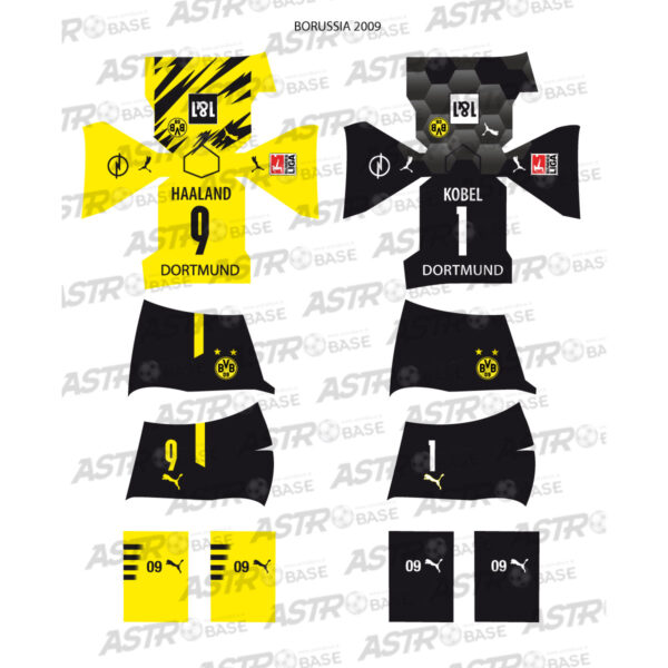 Borussia Dortmund 2009