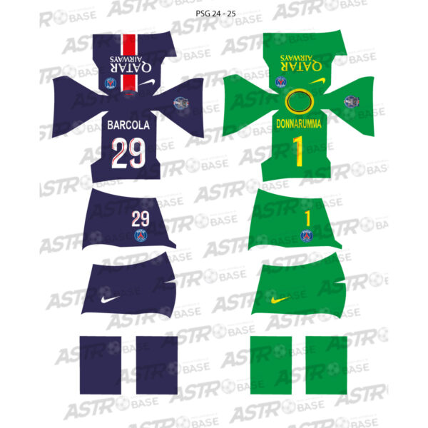 Paris Saint - Germain 2024 / 2025