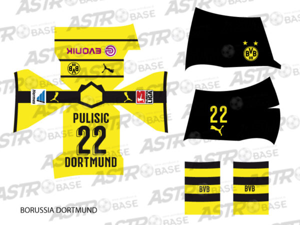 Borussia Dortmund home