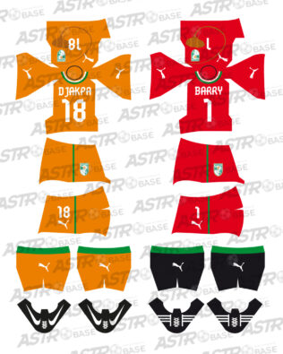 Costa d'Avorio Coppa d'Africa 2014 - Per omini HW