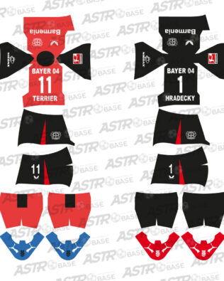 Bayer Leverkusen 2024 / 2025 - Per omini HW