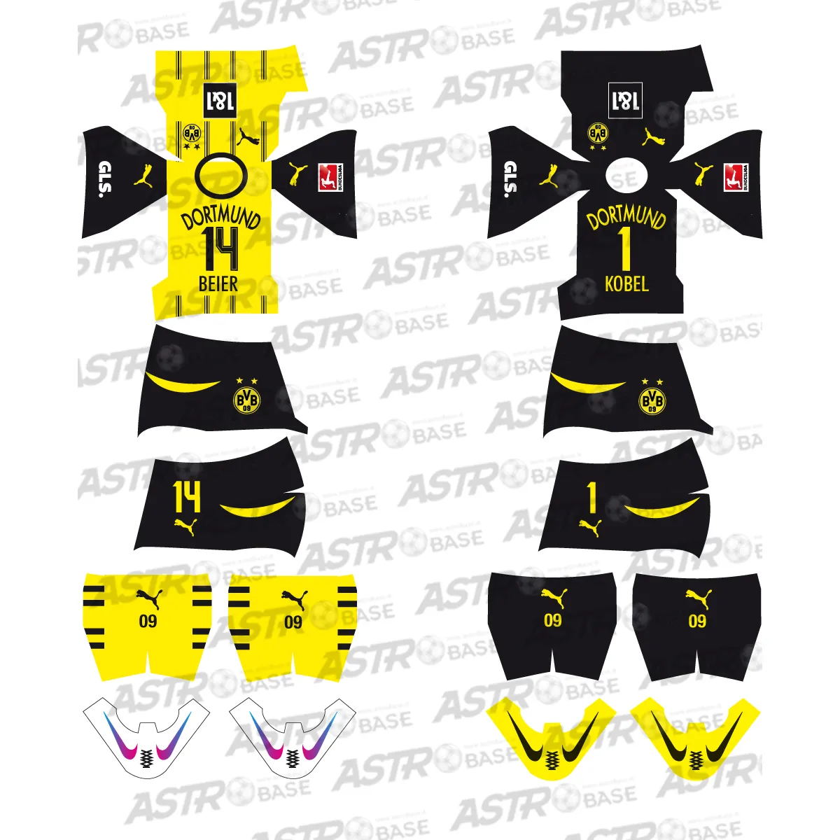 Borussia Dortmund 2024 / 2025