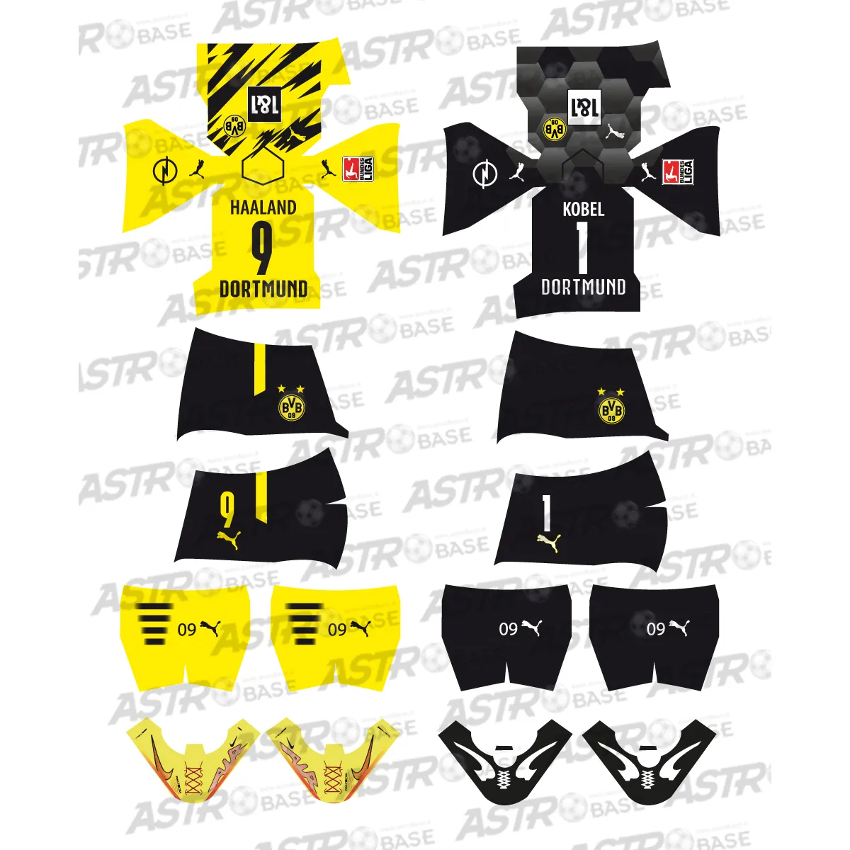 Borussia Dortmund 2020 / 2021