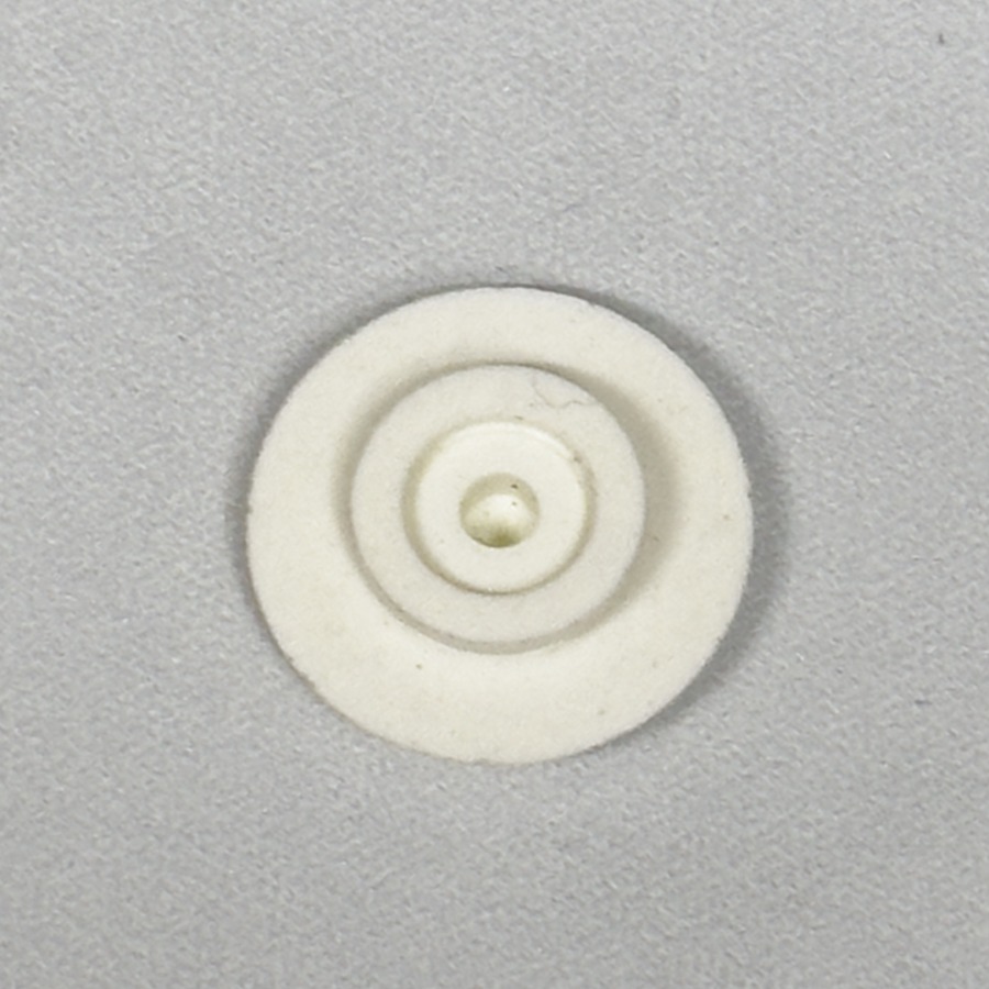 B – Scegli il fungo della tua CC3