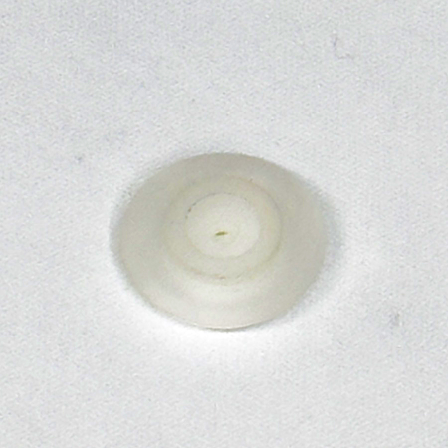 B - Scegli il fungo della tua CC8 - immagine 12